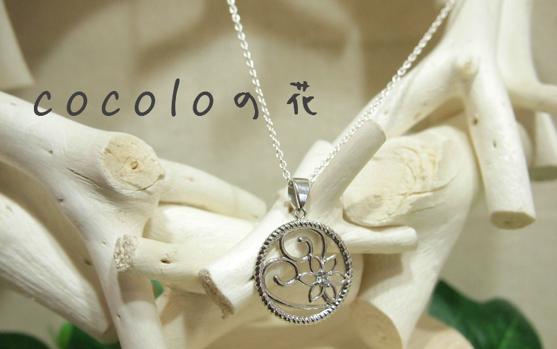 cocoloの花